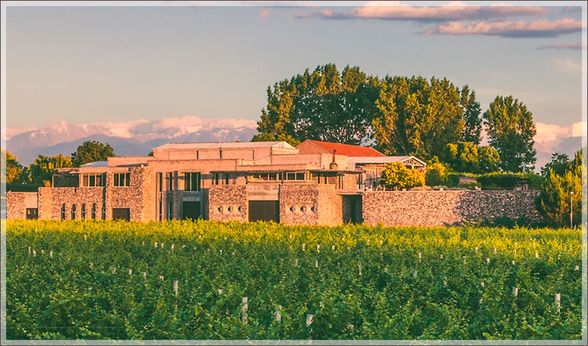 En Tunuyán se levanta el establecimiento más joven de la bodega, dedicado a la elaboración de vinos de alta gama