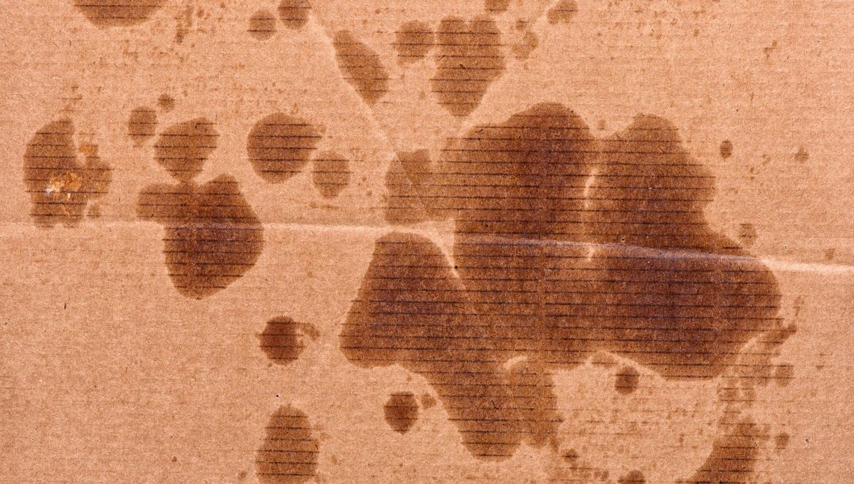 Las manchas de grasa o aceite son prácticamente imposibles de quitar cuando se penetran en la ropa. Pero todo está solucionado gracias al poder activo del talco Las manchas de grasa o aceite son prácticamente imposibles de quitar cuando se penetran en la ropa. Pero todo está solucionado gracias al poder activo del talco