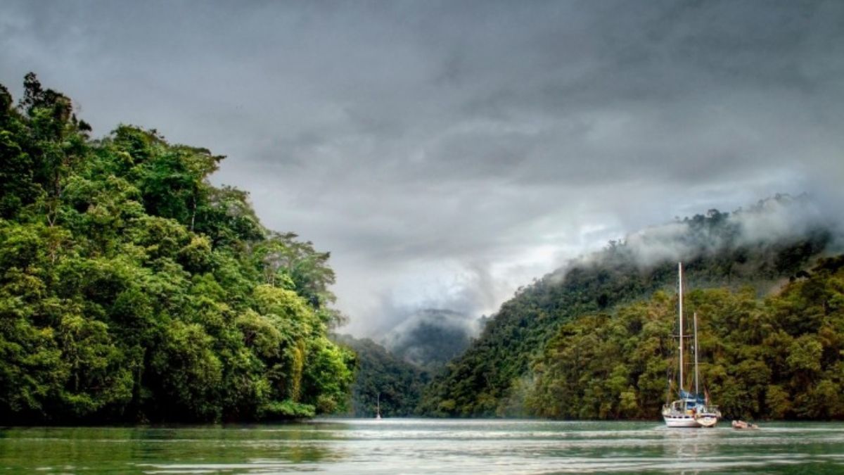 El río Dulce, cerca de la ciudad de Livingston, en el sureste de Guatemala. La incapacidad del país para hacer cumplir la legislación medioambiental ha provocado deforestación, contaminación de sus cursos de agua y degradación de los suelos. (Foto: Alamy) El río Dulce, cerca de la ciudad de Livingston, en el sureste de Guatemala. La incapacidad del país para hacer cumplir la legislación medioambiental ha provocado deforestación, contaminación de sus cursos de agua y degradación de los suelos. (Foto: Alamy)