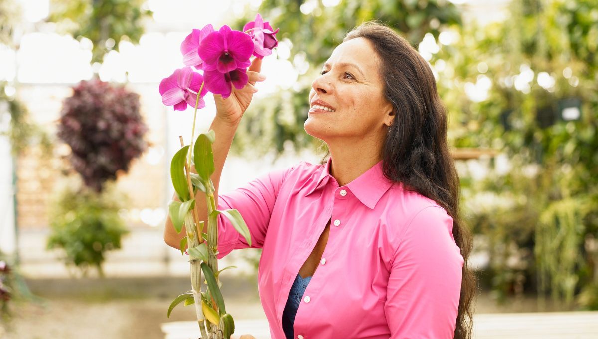 El remedio casero para que las orquídeas revivan y den flores 