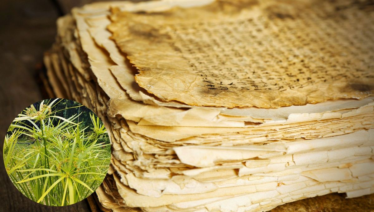 Los sumerios lo encontraron en las tablillas de arcilla, y los egipcios inventaron el papiro, un producto de manufactura mucho más sofisticada, pero más práctico y versátil. Los sumerios lo encontraron en las tablillas de arcilla, y los egipcios inventaron el papiro, un producto de manufactura mucho más sofisticada, pero más práctico y versátil.