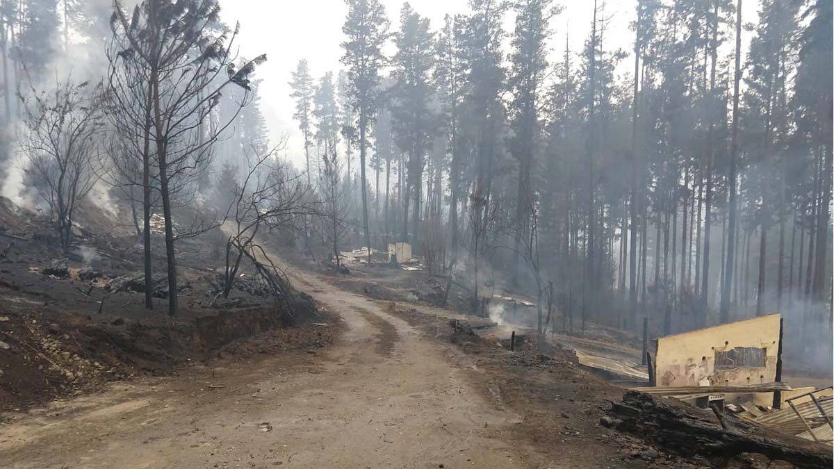ANSES entregará un bono a los damnificados por los incendios en el Sur.