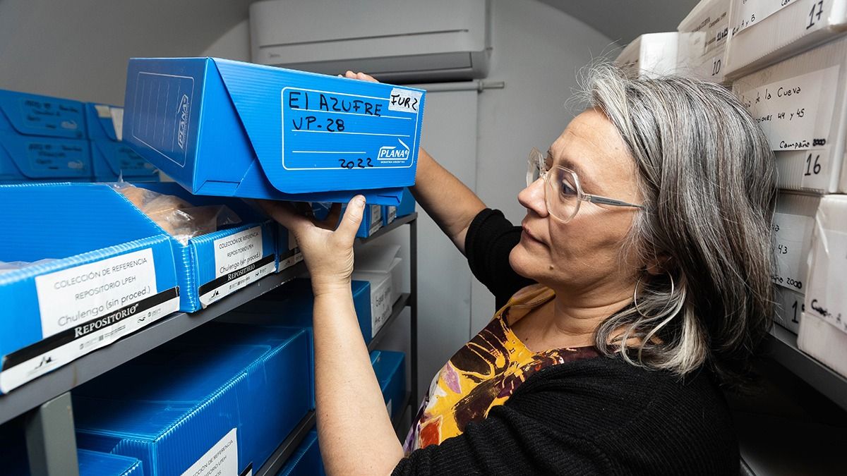 La doctora Alejandra Gasco cuidando algunos hallazgos de El Azufre en su oficina de la UNCuyo. La doctora Alejandra Gasco cuidando algunos hallazgos de El Azufre en su oficina de la UNCuyo.