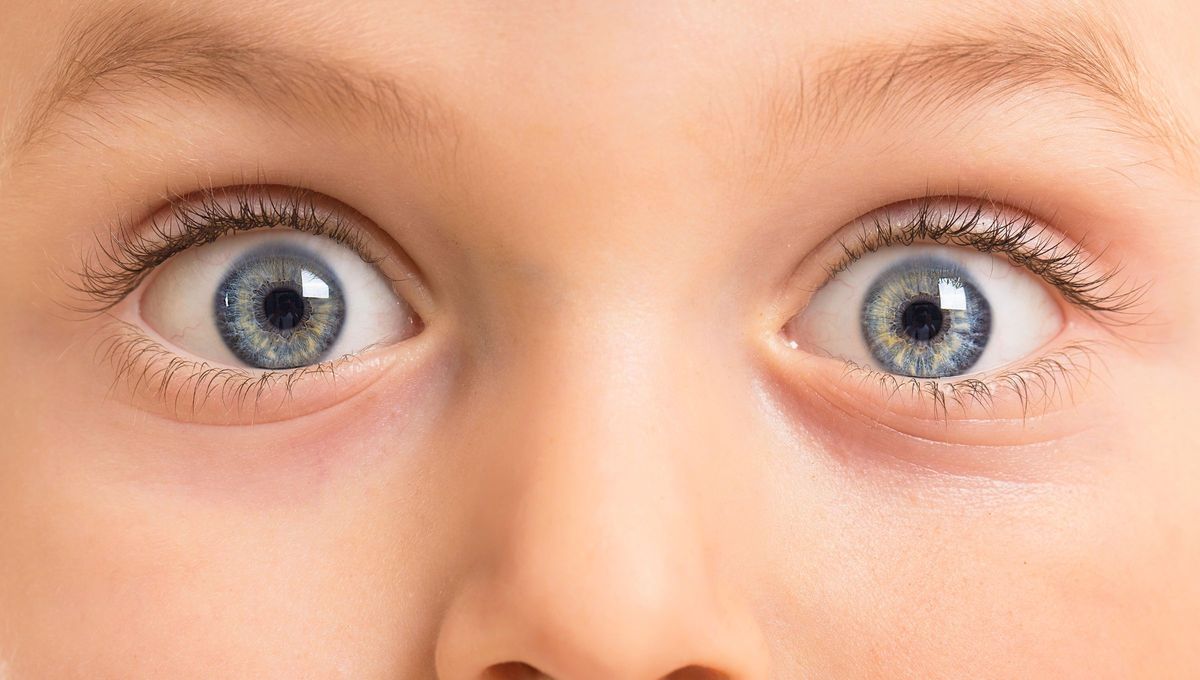Las personas con ojos de color azul están genéticamente relacionadas a un mismo ancestro en común.   