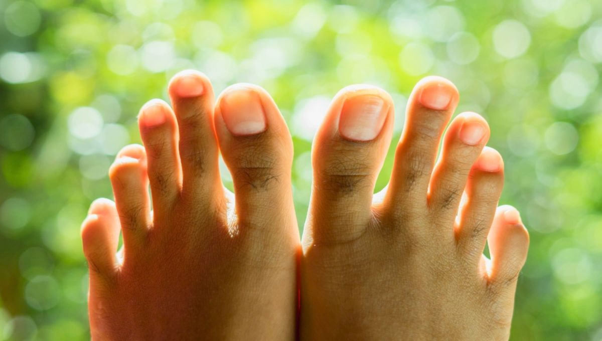 El dedo griego es más común de lo que crees. El dedo griego es más común de lo que crees. 