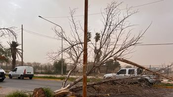 Viento Zonda en Mendoza: a qué hora se espera que bajen las fuertes ráfagas este lunes Viento Zonda en Mendoza: a qué hora se espera que bajen las fuertes ráfagas este lunes