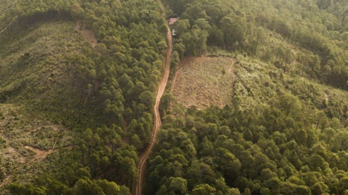 En el caso de América Latina, las emisiones provenientes del cambio de uso del suelo (paso de zonas boscosas a agricultura o urbanizaciones) son las que mayormente abultan la huella de carbono. La imagen corresponde a La Esperanza, en Honduras. Crédito: Esteban Benites / Unsplash En el caso de América Latina, las emisiones provenientes del cambio de uso del suelo (paso de zonas boscosas a agricultura o urbanizaciones) son las que mayormente abultan la huella de carbono. La imagen corresponde a La Esperanza, en Honduras. Crédito: Esteban Benites / Unsplash
