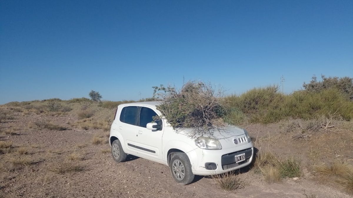 El frustrado intento del cazador furtivo de ocultar el auto tuvo un efecto negativo y llamó la atención de los uniformados de la Policía Rural.