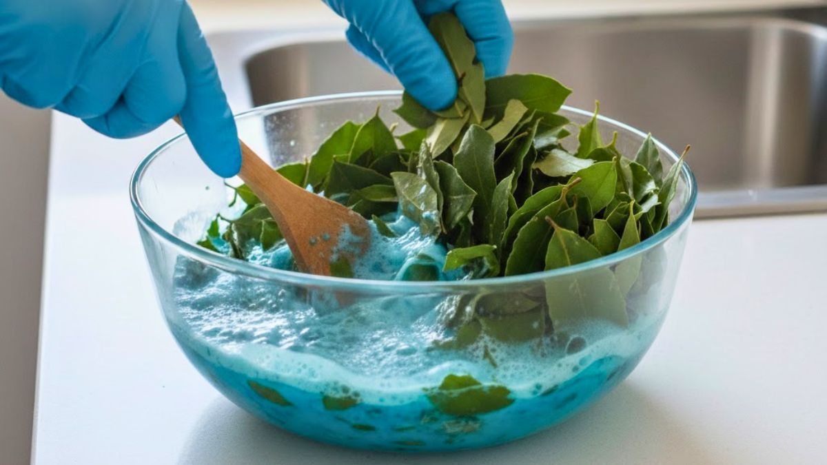 Mezclar hojas de laurel con detergente: por qué recomiendan hacerlo y para qué sirve