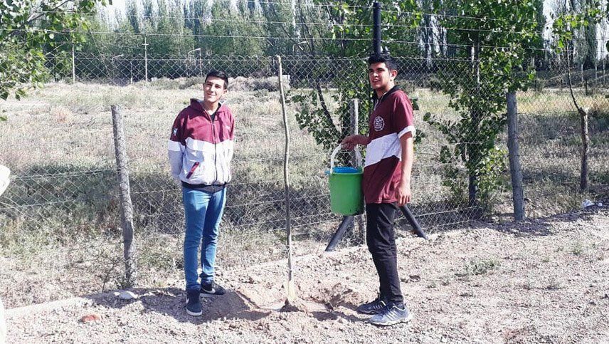 Diez alumnos de Santa Rosa plantaron 540 árboles para evitar la desertificación