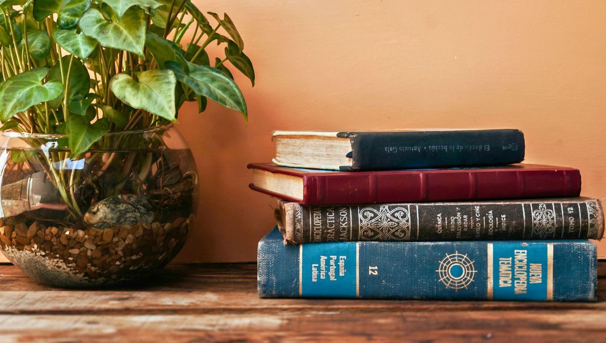 Quién tiene libros viejos en casa tiene un tesoro: por qué y para qué sirven