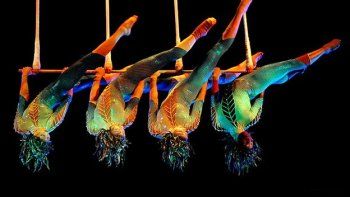 Se vende Le Cirque du Soleil