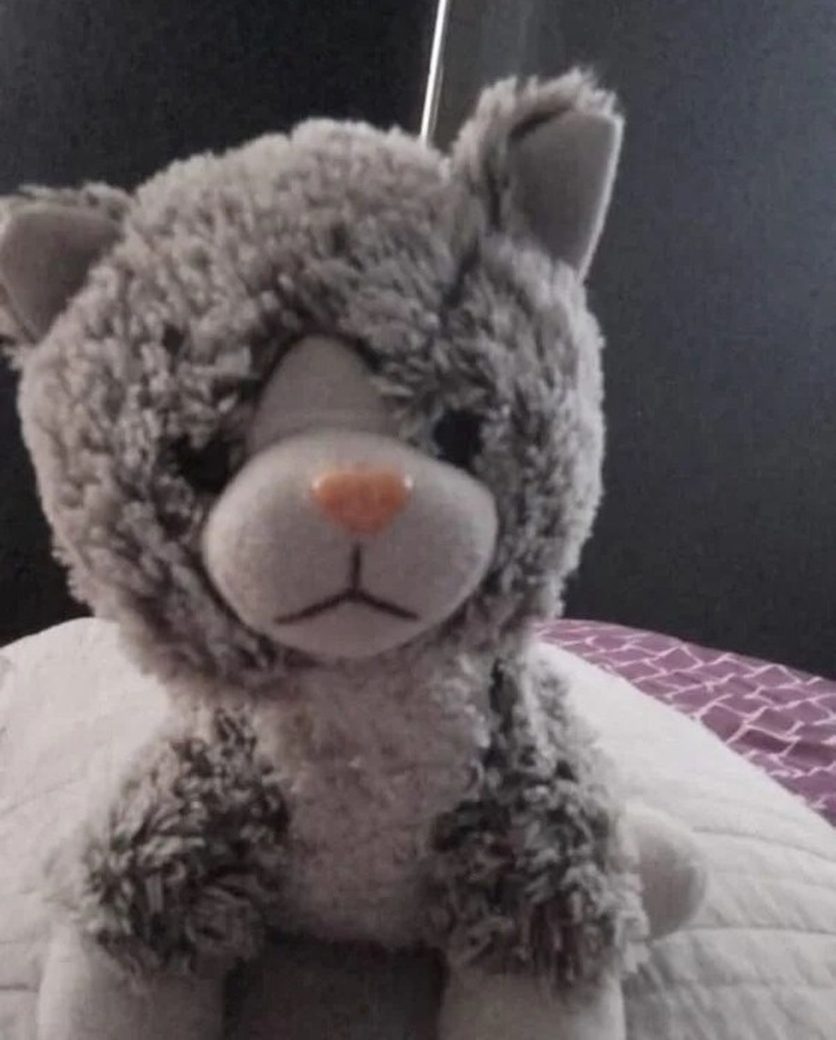 El oso de peluche del niño autista por el que la familia debió pagar $200.000.