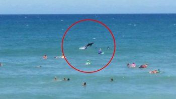 Un tiburón dio una escalofriante sorpresa a surfers durante una competencia en Australia