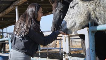 La Justicia dio otra condena histórica en Mendoza por faena clandestina de caballos La Justicia dio otra condena histórica en Mendoza por faena clandestina de caballos