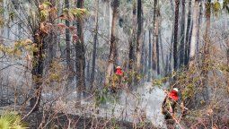 El humo de los incendios del Amazonas ya llegó a Mendoza