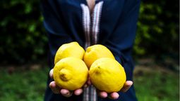 Las cáscaras de limón pueden aportar diferentes beneficios para tu jardín
