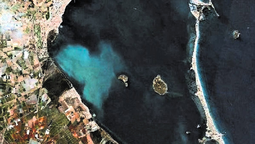 El descubrimiento de una gran mancha blanca en el Mar Menor, ubicado en la zona de Murcia, desconcertó a los científicos