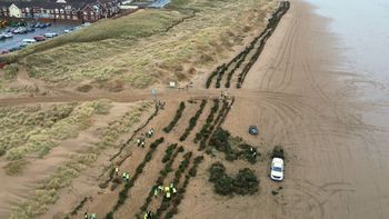 Enterraron miles de árboles de Navidad para proteger la costa del océano y recuperar las dunas