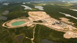 hace 24 anos plantaron 600.000 arboles en una mina de uranio: hoy es un ejemplo para el planeta