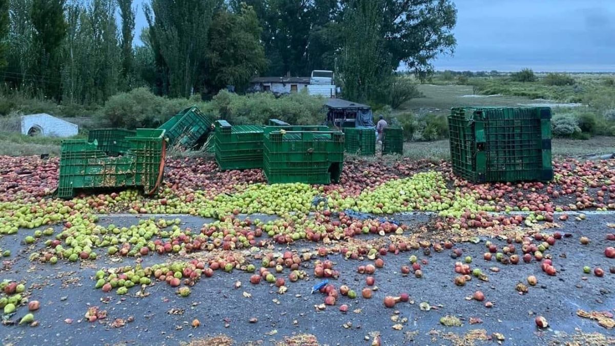 La carga de peras del camión quedó desparramada en la ruta. La carga de peras del camión quedó desparramada en la ruta.