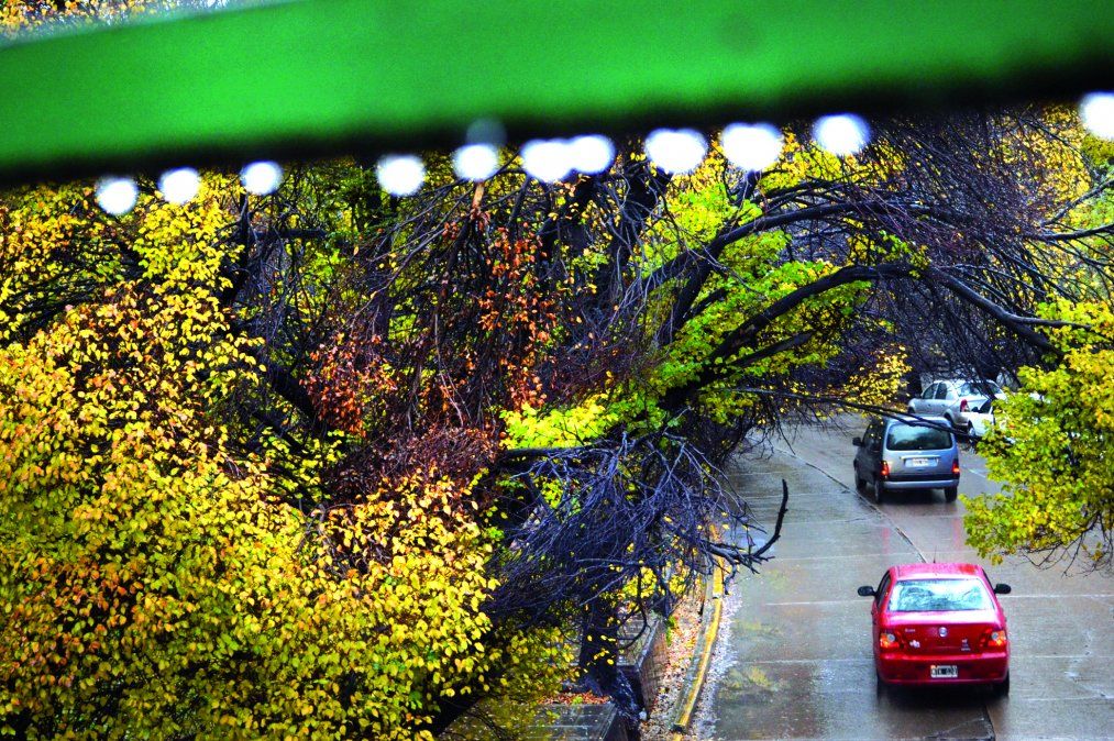 Imágenes de los últimos días de un otoño atípico