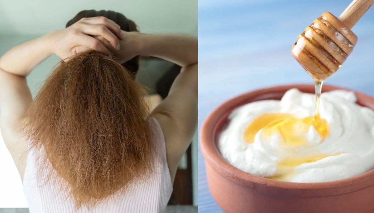 Si tienes el pelo seco y sin vida, prueba esta mascarilla casera de tres ingredientes. Imagen: Redacción Diario Uno