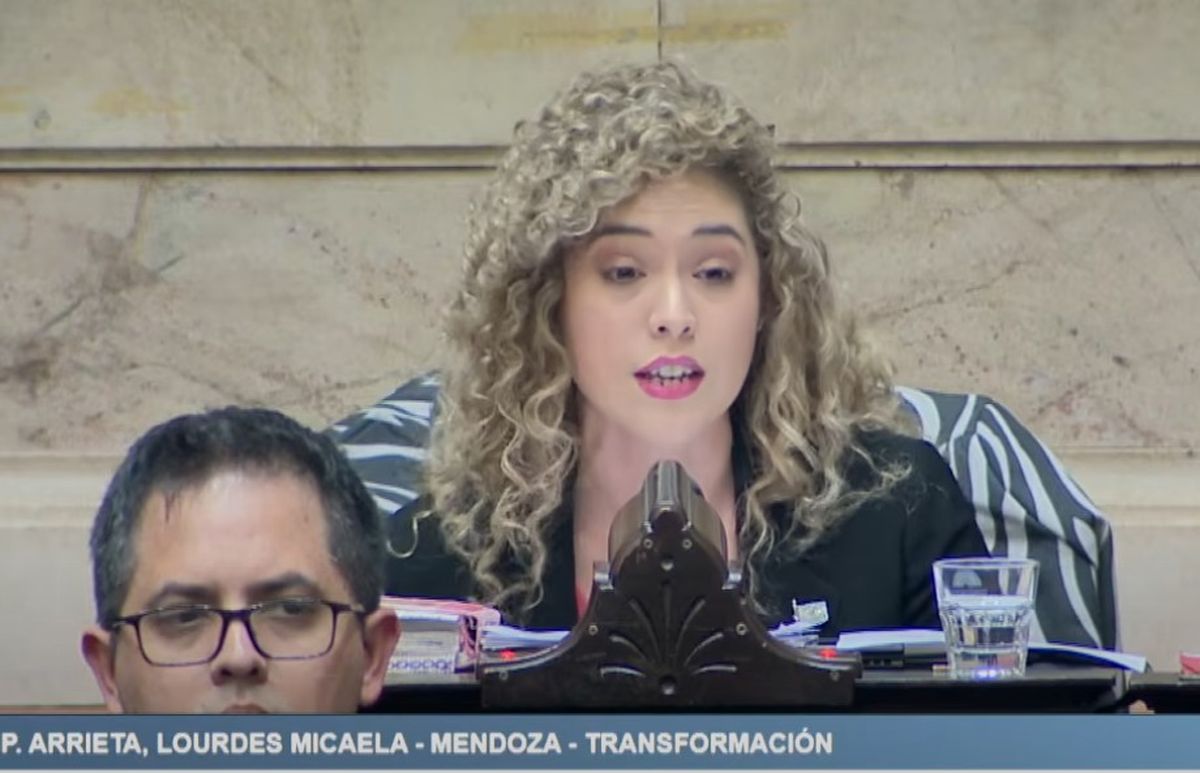 Lourdes Arrieta, diputada nacional por Mendoza de Transformación. Lourdes Arrieta, diputada nacional por Mendoza de Transformación.