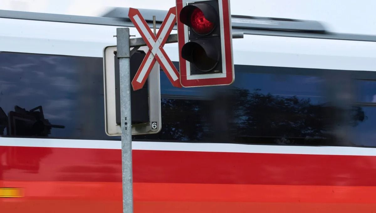 En principio le advierte al conductor que debe "parar, mirar y escuchar" antes de avanzar. En principio le advierte al conductor que debe "parar, mirar y escuchar" antes de avanzar.