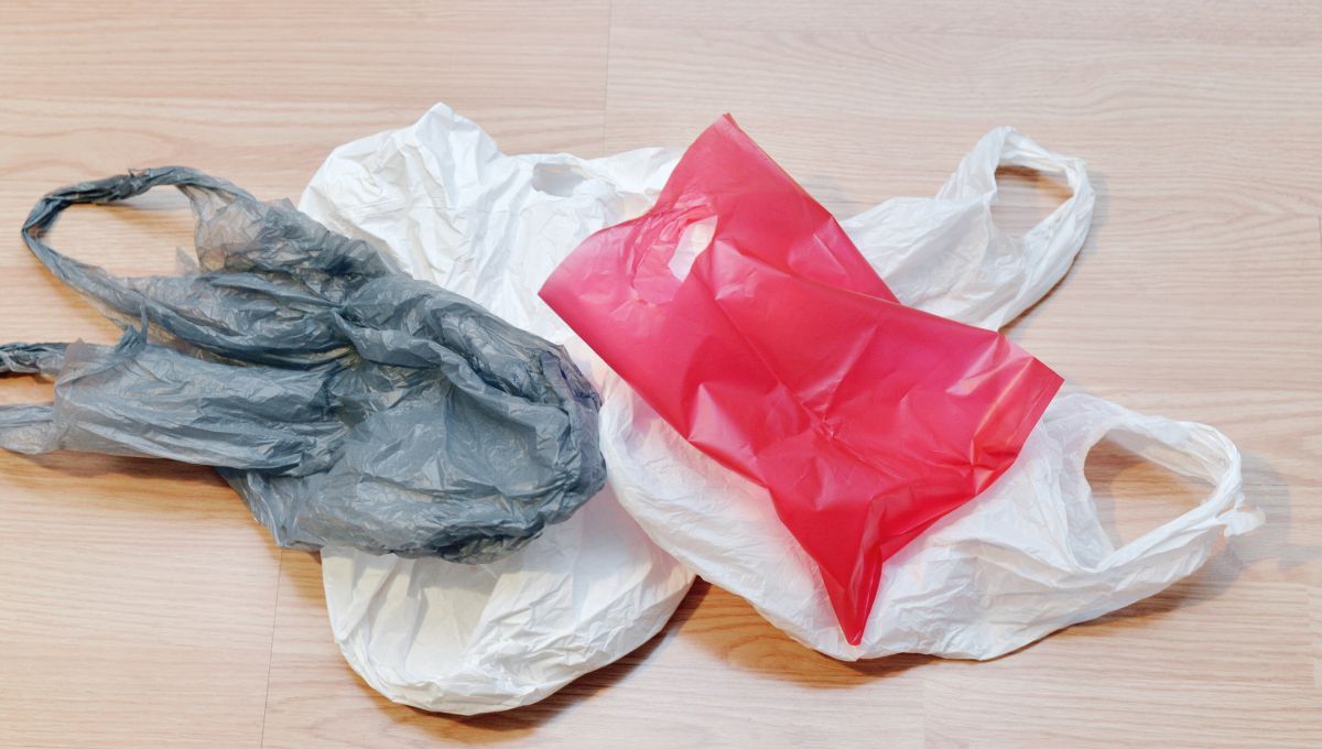 Si tienes bolsas de plástico en casa