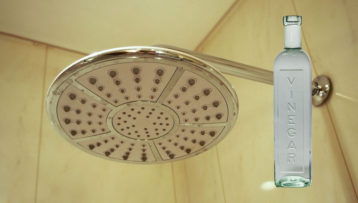 Normalmente, encontramos sedimentos de sarro en las griferías del baño, la cocina, la ducha y en algunos otros elementos metálicos como la tetera. Normalmente, encontramos sedimentos de sarro en las griferías del baño, la cocina, la ducha y en algunos otros elementos metálicos como la tetera. 