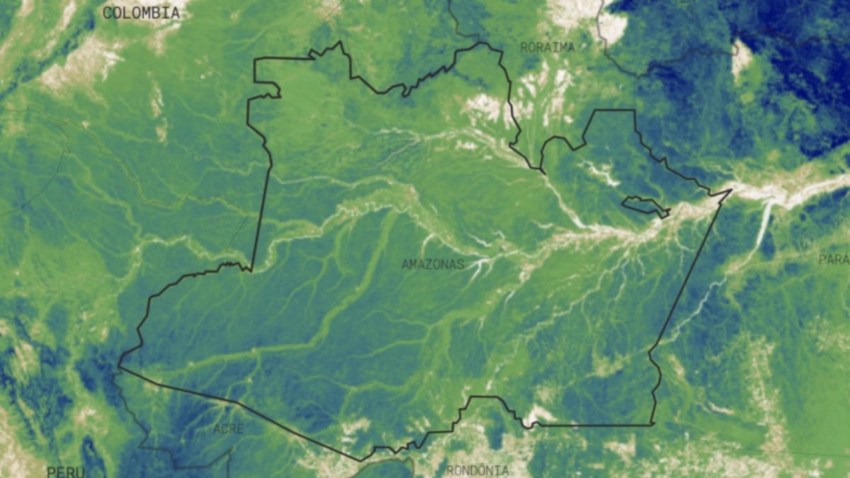 Captura de pantalla del portal CTrees que muestra la "densidad de carbono" de la tierra en el estado brasileño de Amazonas, que alberga gran parte de la selva amazónica. Cuanto más oscuro es el color, más CO2 se almacena por hectárea de tierra (Foto: CTrees) Captura de pantalla del portal CTrees que muestra la "densidad de carbono" de la tierra en el estado brasileño de Amazonas, que alberga gran parte de la selva amazónica. Cuanto más oscuro es el color, más CO2 se almacena por hectárea de tierra (Foto: CTrees)