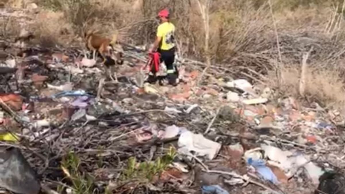 Los rastrillajes en la búsqueda de Gisela Gutiérrez.