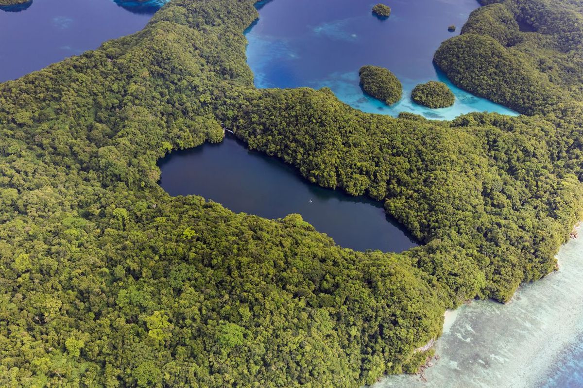 El lago se ubica en Palaos, un país que está compuesto por aproximadamente 200 islas de origen volcánico y coralino, en el extremo suroeste de Micronesia. El lago se ubica en Palaos, un país que está compuesto por aproximadamente 200 islas de origen volcánico y coralino, en el extremo suroeste de Micronesia.