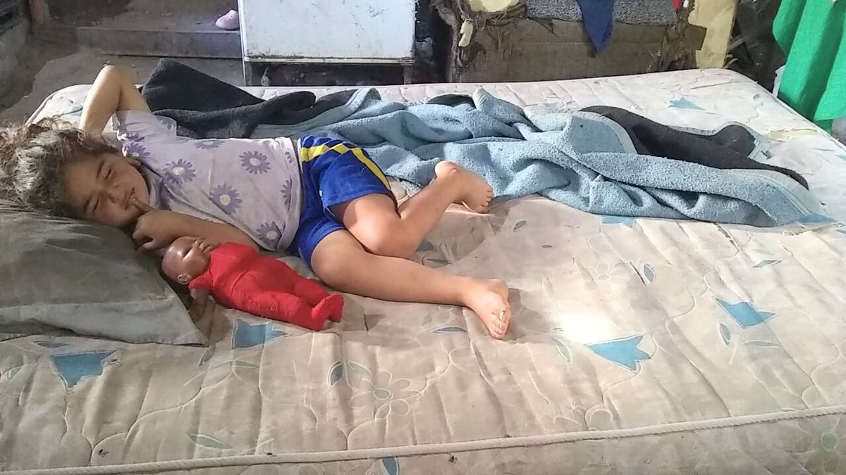 Una invasión de chinches dejó sin colchones a una familia de El Challao que necesita ayuda