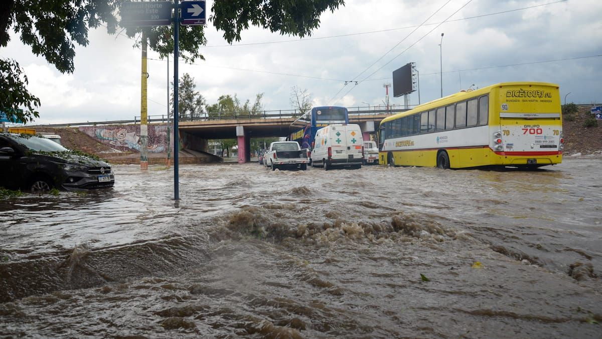 El granizo causó estragos en el Gran Mendoza ¿Podría haberse evitado?