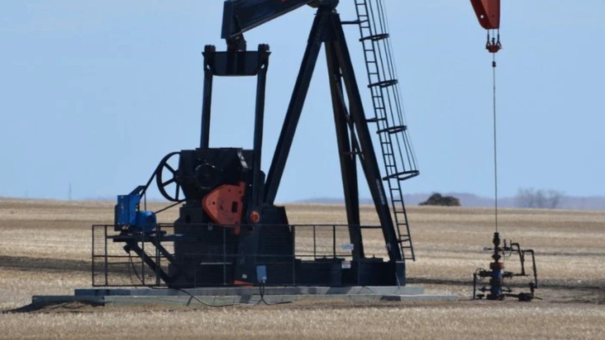 Foto: Pixabay Foto: Pixabay