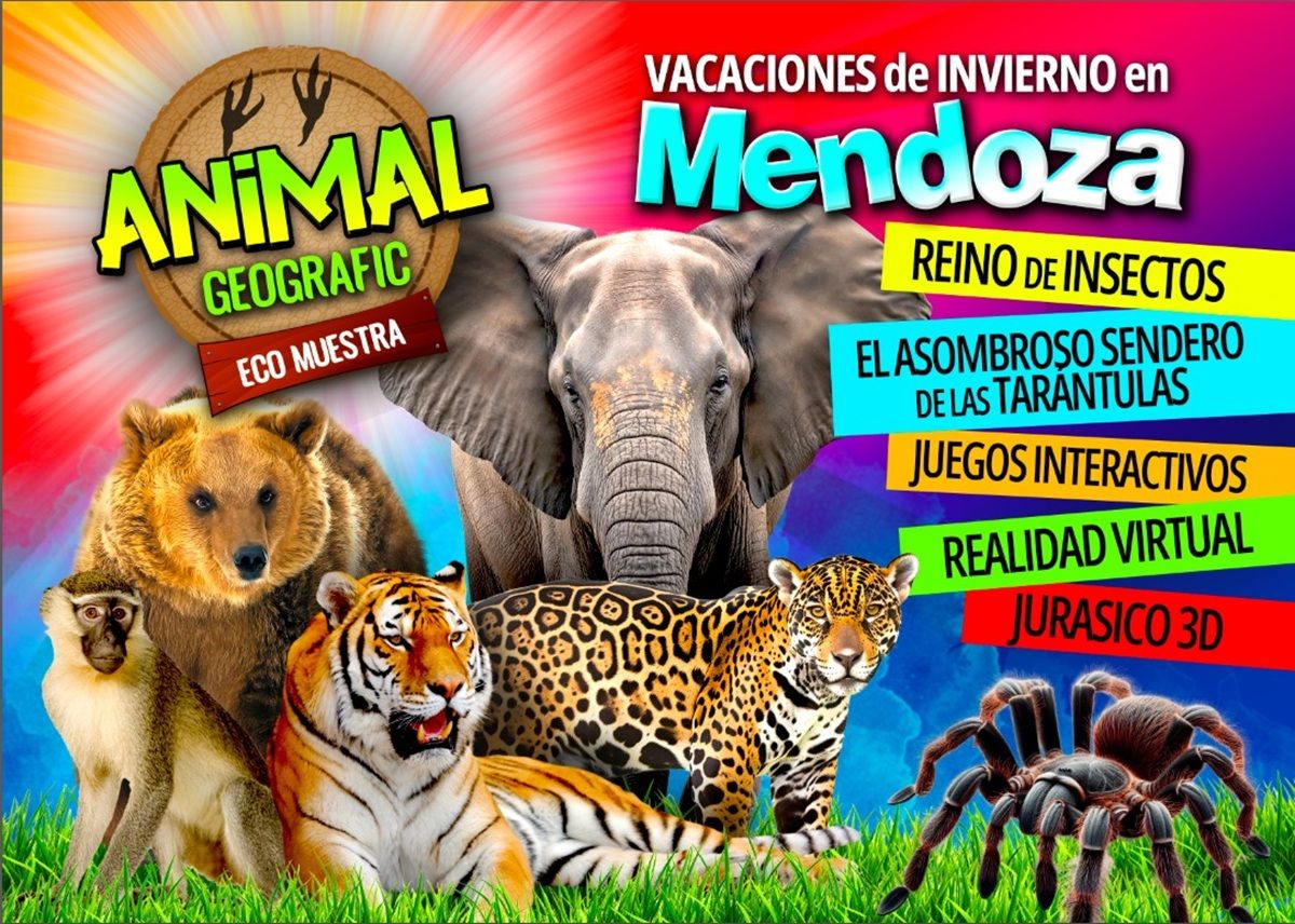Desde el 4 al 20 de julio en el Espacio NIDO llega la expo Safari. 