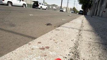 Hallan muertos a puñaladas a tres niños en un coche en Los Ángeles