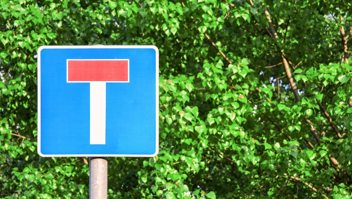 Estas se&ntilde;ales de tr&aacute;nsito indican una calle o camino sin salida.