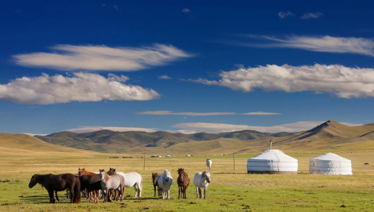 Cuál es tu destino de viaje según tu fecha de nacimiento. Cuál es tu destino de viaje según tu fecha de nacimiento.