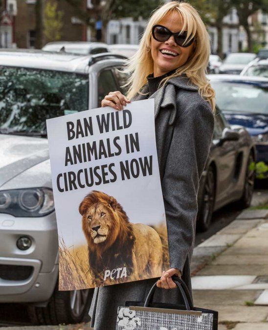 Pamela Anderson torturó a Assange con comida vegana
