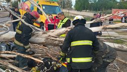 La caída de un árbol seco provocó la muerte de un joven en Las Heras.&nbsp;