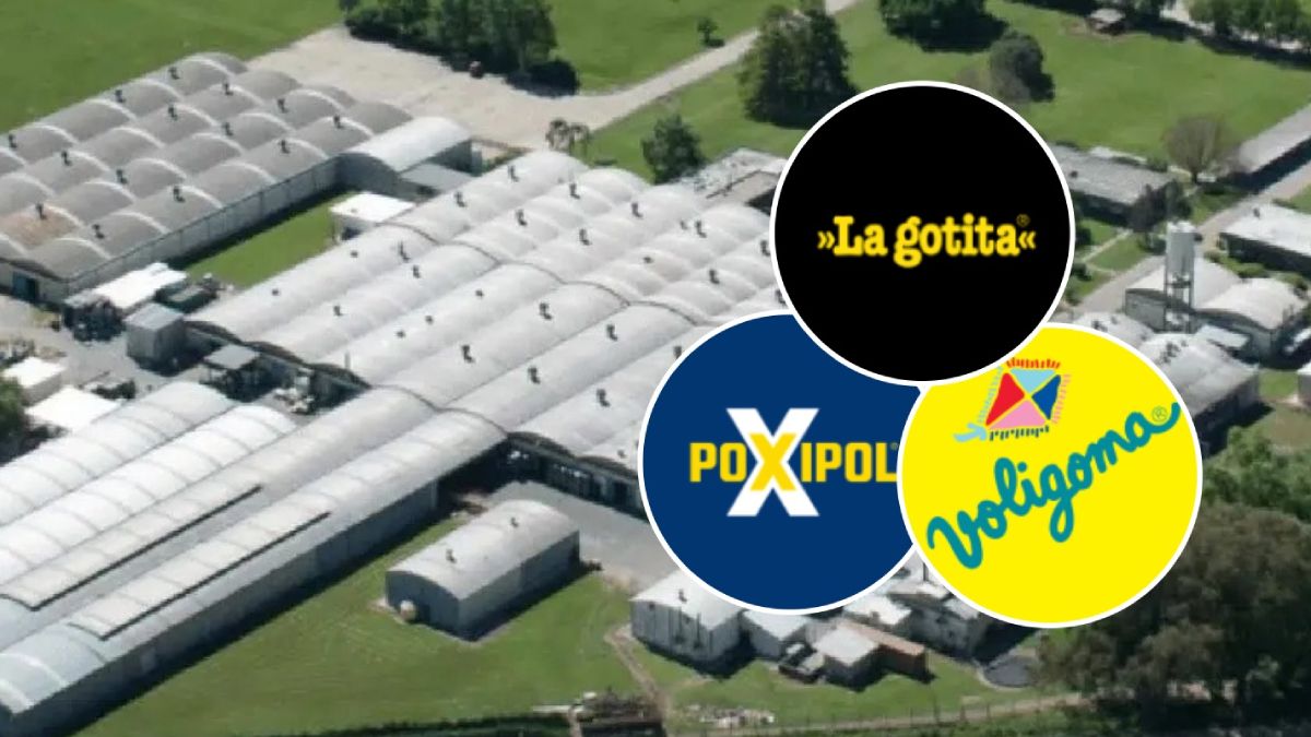 Las suspensiones en la firma que produce La Gotita, Poxipol, Voligoma, Fastix y Poxi-Ran serán por dos meses por el momento.