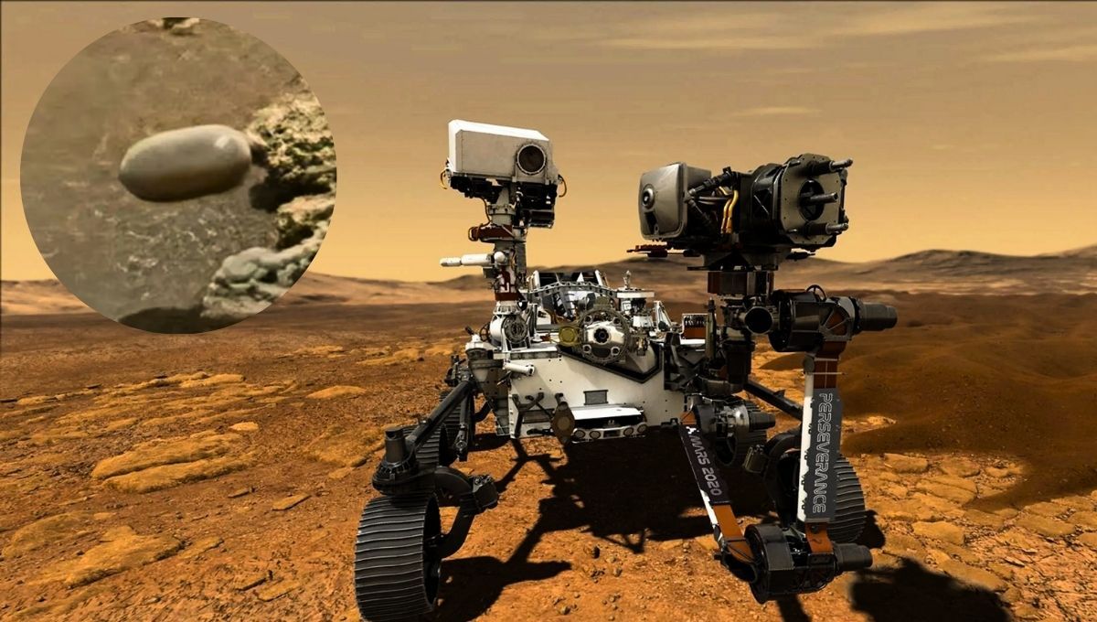 El rover Curiosity realizó un particular hallazgo en Marte