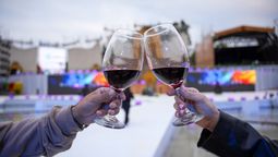 Los turistas que llegaron a Mendoza especialmente para vivir la Fiesta Nacional de la Vendimia.
