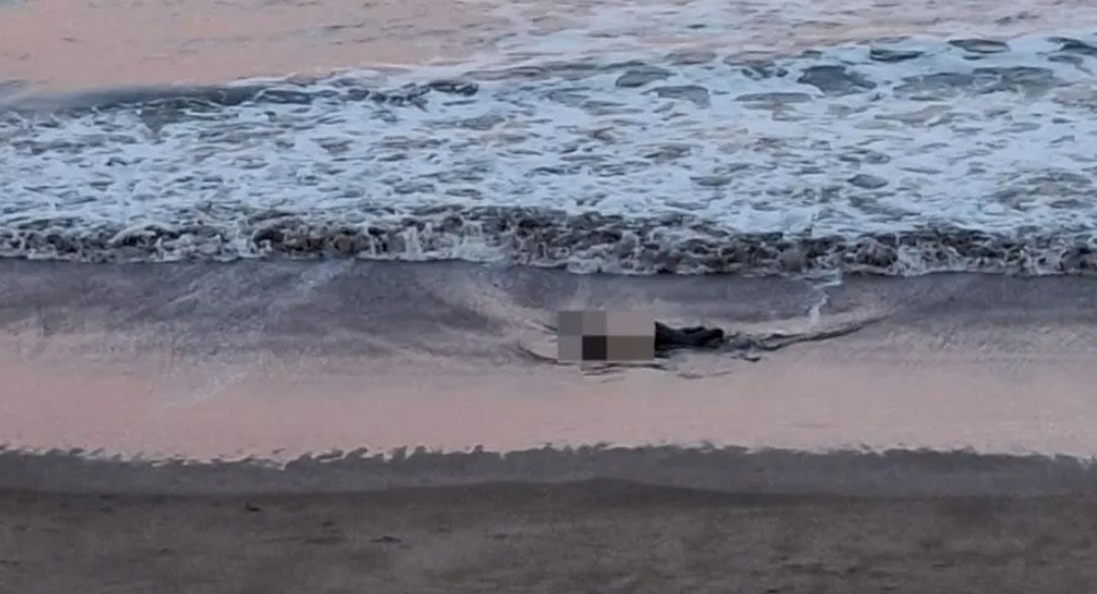 El cuerpo de una mujer fue encontrado en una playa de la ciudad de Mar del Plata y tratan de establecer si se trató de un suicidio. El cuerpo de una mujer fue encontrado en una playa de la ciudad de Mar del Plata y tratan de establecer si se trató de un suicidio.