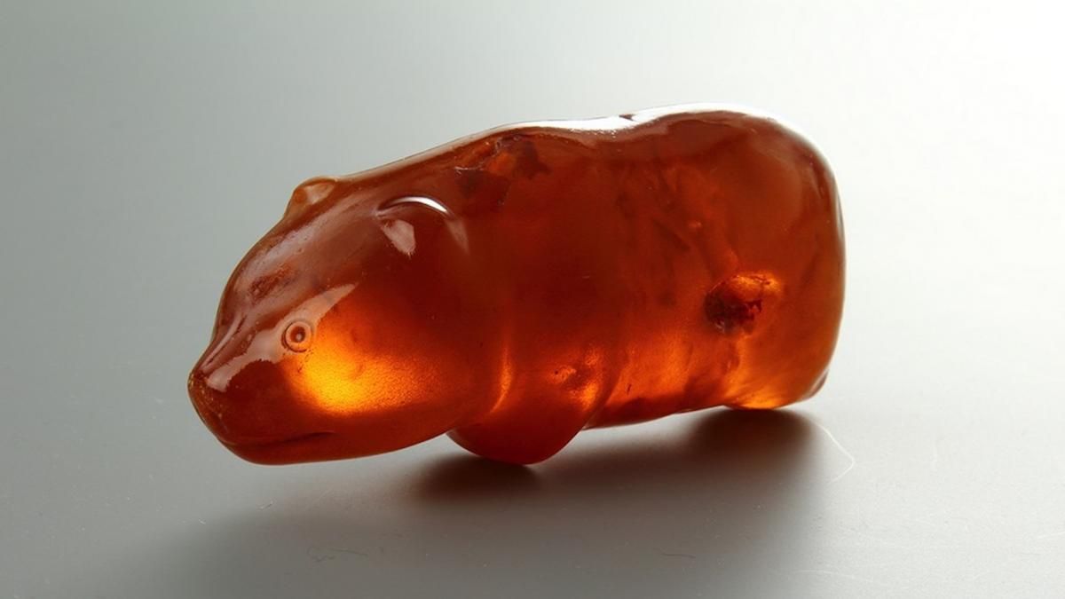 Este hermoso descubrimiento parece realmente un oso de goma. Este hermoso descubrimiento parece realmente un oso de goma.