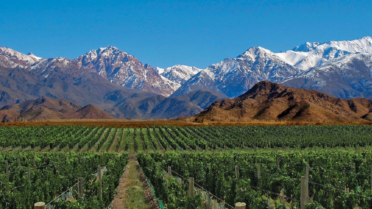 Tupungato no instalará una planta de residuos en los Caminos del Vino.