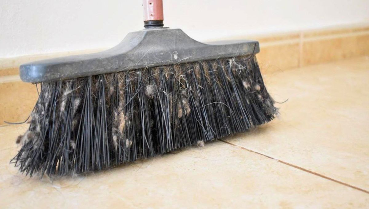 Diferentes elementos caseros pueden potenciar el uso de la escoba. Diferentes elementos caseros pueden potenciar el uso de la escoba. 
